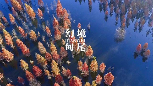 海普瑞披露子公司被诈骗过程:犯罪分子以“机密并购”为由设下骗局
