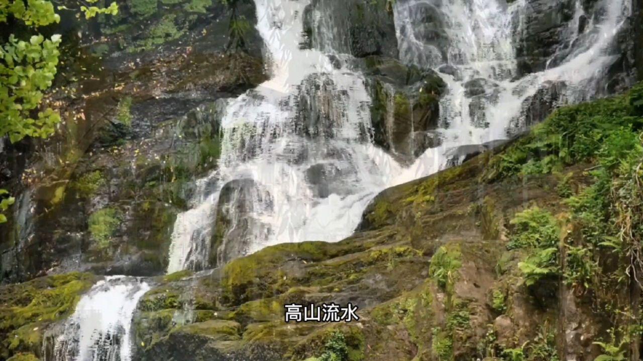 可爱猪救援2